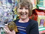 Elderly Pet Shop Owner Barbara Mullaney Killed in Fatal Crash 2026