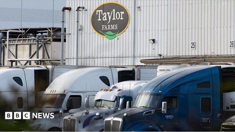 US Diarrhoea Outbreak Traced to Taylor Farms Lettuce 2026