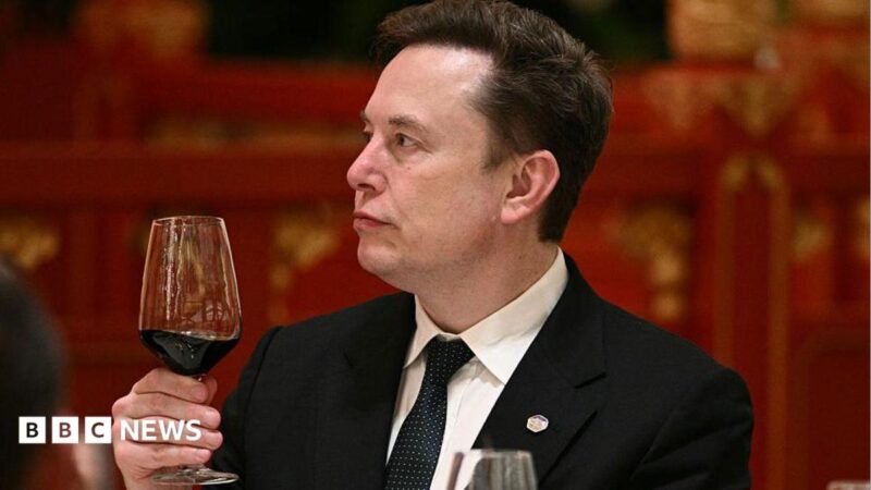 Elon Musk Talks AI Fears to The Economist in 2026
