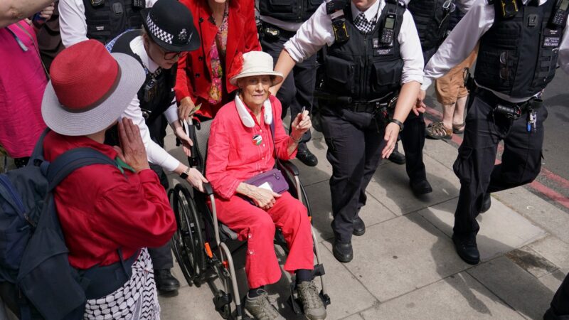 UK Police Arrest Dozens at 2026 London Palestine Rally