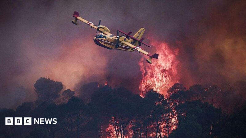 Europe Battles Wildfires 2026: Bordeaux Blaze Engulfs 420 sq km