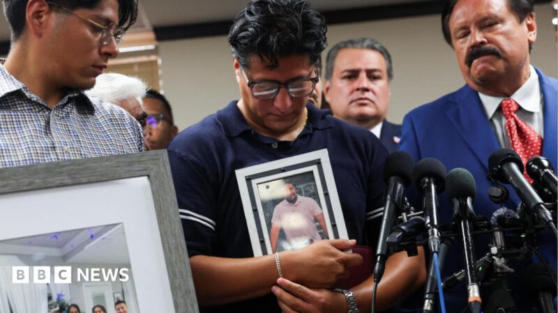 Lorenzo Salgado Araujo Killed by ICE in Houston 2026