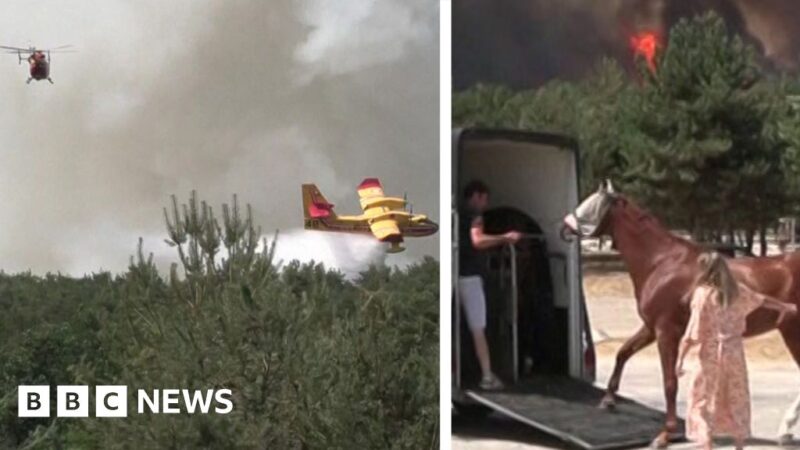 Fontainebleau Forest Fire Rages Near Paris 2026
