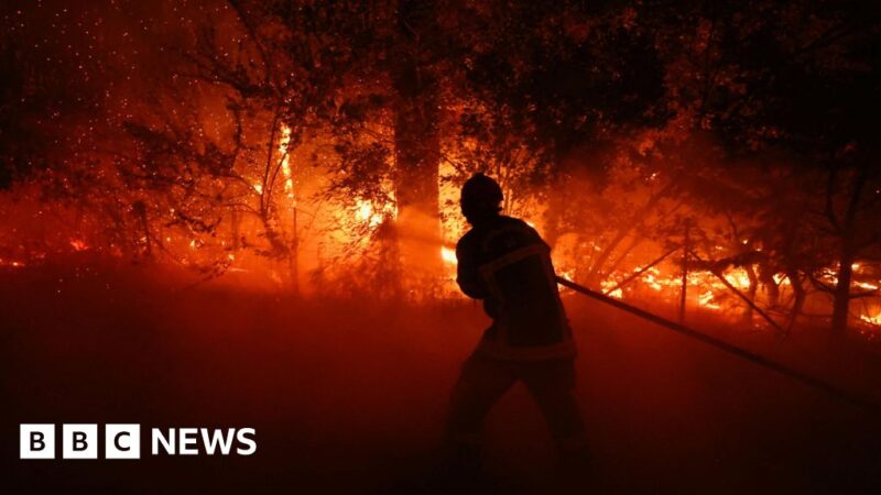 Spain Declares Emergency Amid 2026 Wildfires