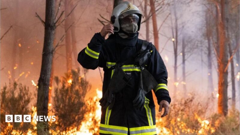Bordeaux Mayor Thomas Cazenave Prepares Evacuations Amid Wildfire