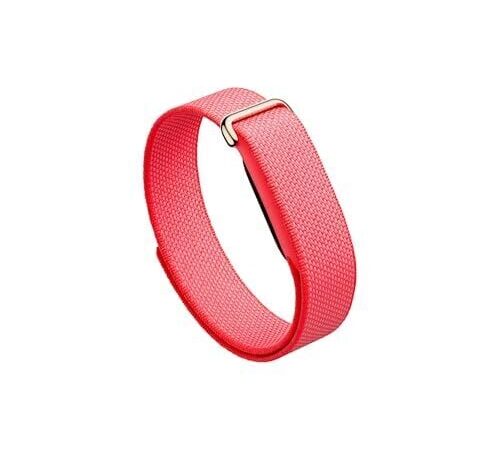 Bevel App Offers Better Fitbit Air Metrics in 2026