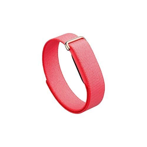 Bevel App Offers Better Fitbit Air Metrics in 2026