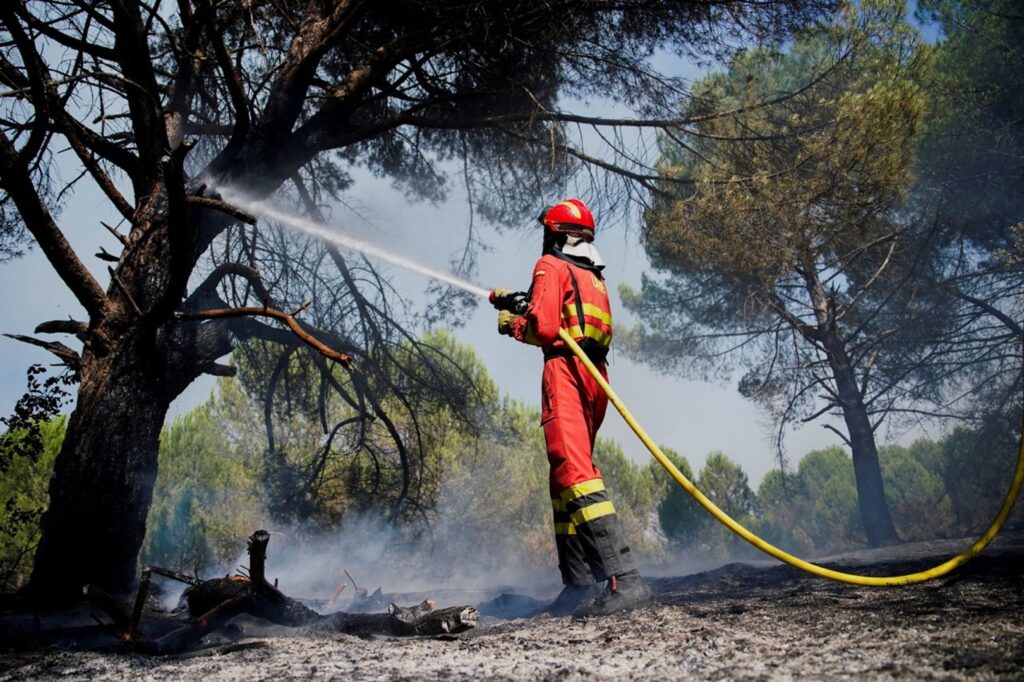 Spain Wildfires 2026: 4,300 Hectares Burnt in Castellon