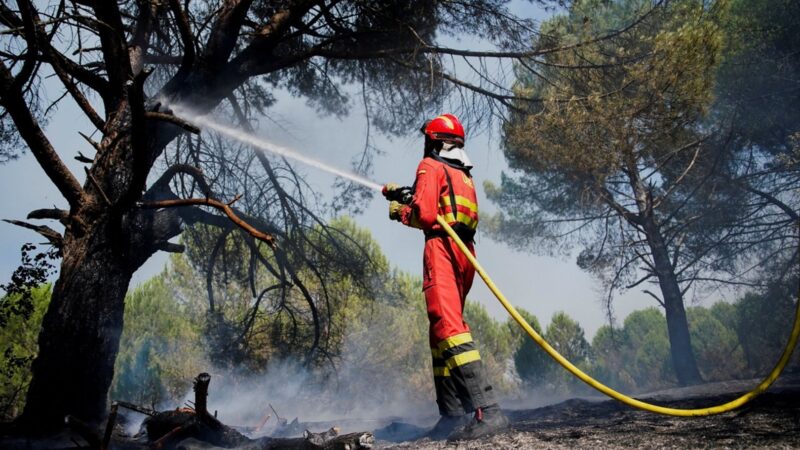 Spain Wildfires 2026: 4,300 Hectares Burnt in Castellon