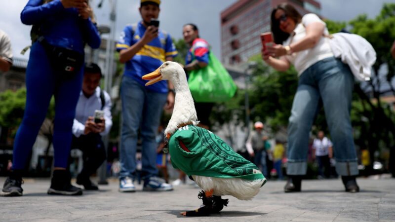 2026 FIFA World Cup Viral Moments