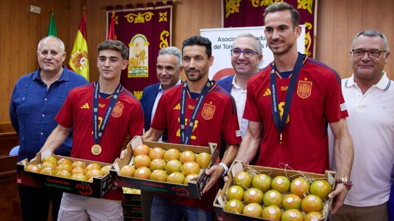 Fabián Ruiz Gets Tomatoes for Spain World Cup Win 2026