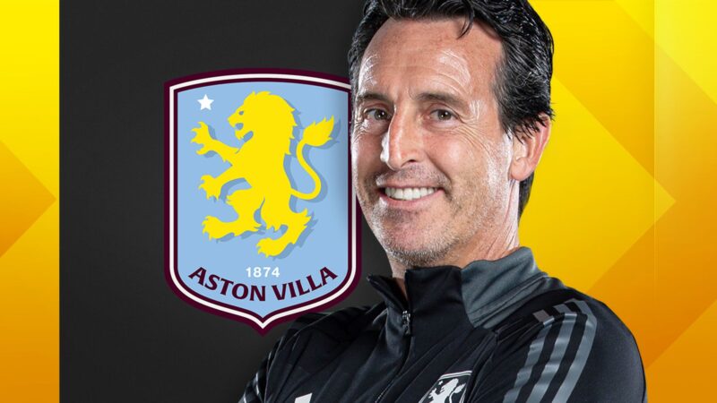 Aston Villa Goalie Onana Suffers ACL Rupture in 2026