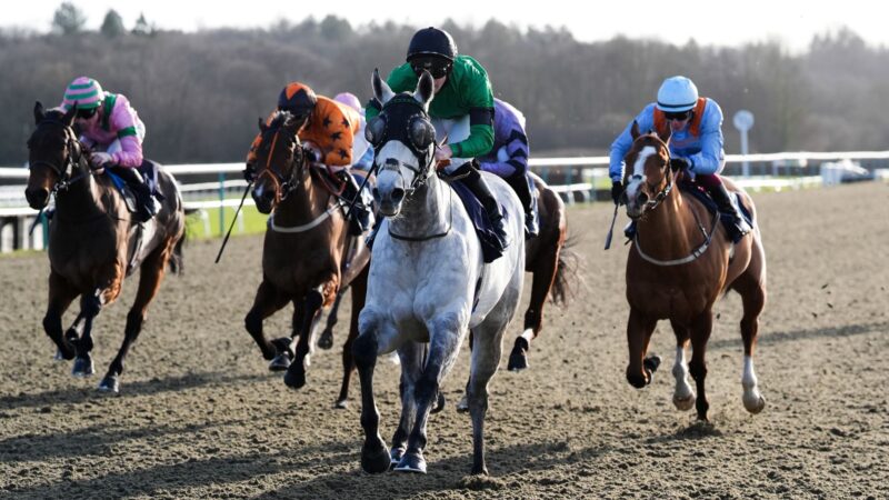 Lingfield Flat Racing Live on Sky Sports July 6