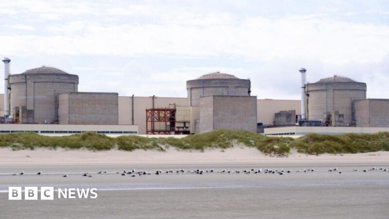 Jellyfish Force Partial Shutdown of France’s Gravelines Nuclear Plant for Second Year in 2026