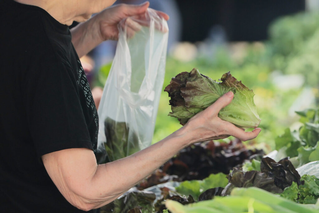 Cyclospora Outbreak 2026 Triggers US Salad Chain Traffic Drop, Impacting African Produce Imports