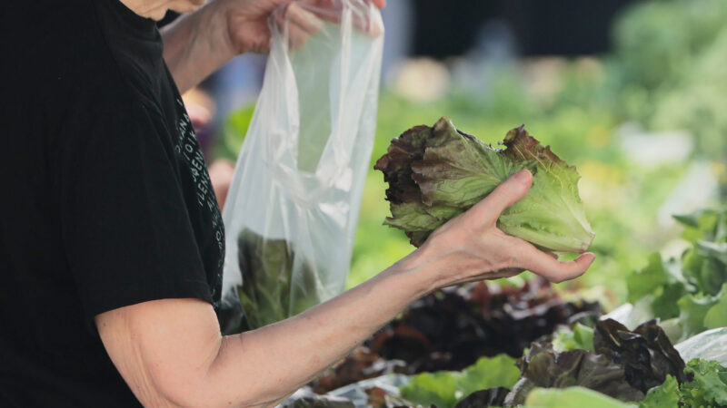 Cyclospora Outbreak 2026 Triggers US Salad Chain Traffic Drop, Impacting African Produce Imports