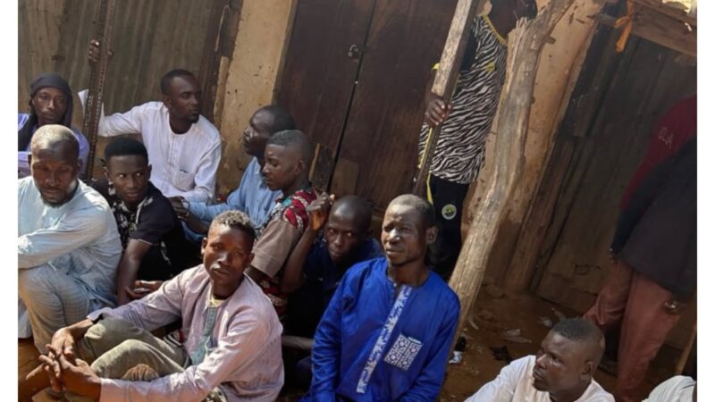 Operation HADIN KAI and NDLEA raid Damagun Market in Yobe, arrest 12 drug peddlers – August 2026 impact