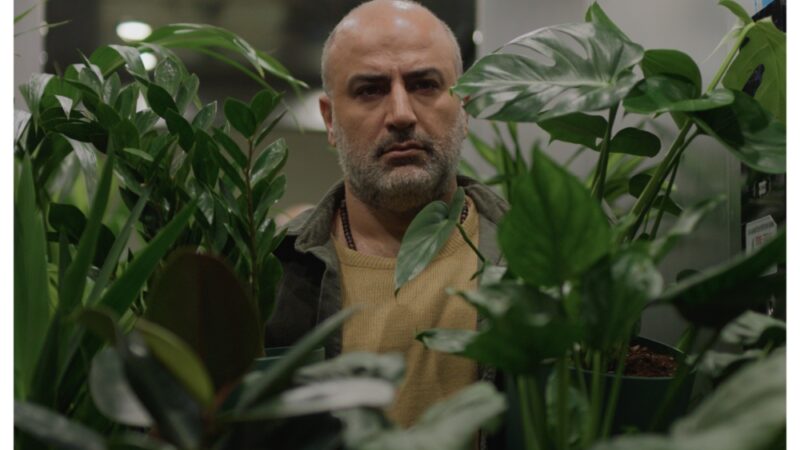 Ali Asgari’s ‘A Bit of Light’ Hits Venice 2026 with Trump Threat Clip – Why It Matters Globally and for African Audiences