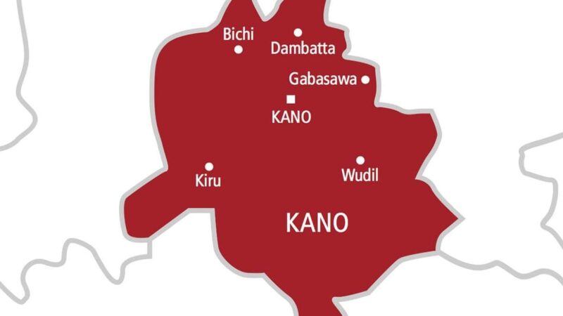 Kano Task Force Accuses Ex‑Rogo LG Chair Yahuza Musa of Illegal Pentazocine Injection to 63‑Year‑Old Woman, 2026