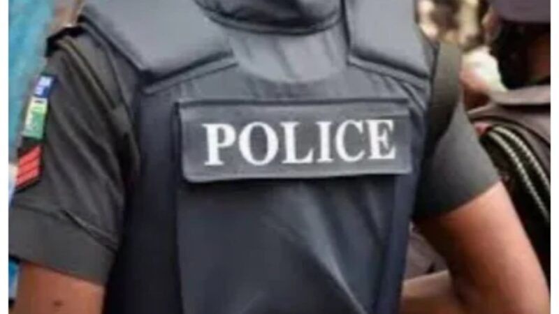 ALGON Chairman Muhammad Dahiru Arrested with Loaded Pistol in Kano Gunrunning Probe – 2026 Security Fallout