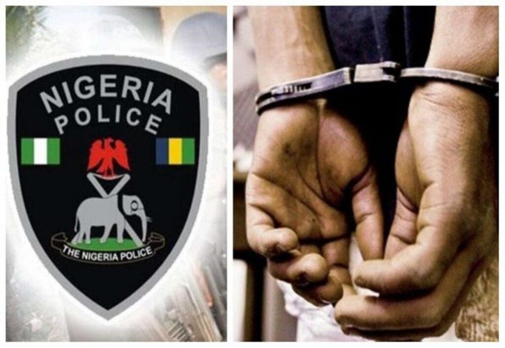 Bauchi Police Arrest Emmanuel Jacob Over Theft of 7 Solar Panels from Federal Girls’ College, 2026