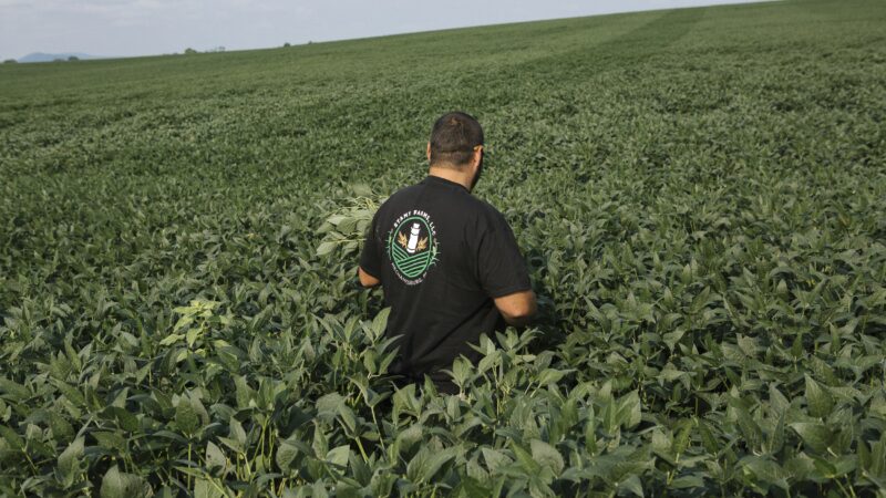 Iran war and US tariffs squeeze farmers – could cost Republicans the 2026 midterms