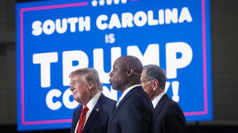 South Carolina Senate runoff 2026: Trump backs Darlin Graham vs Ralph Norman