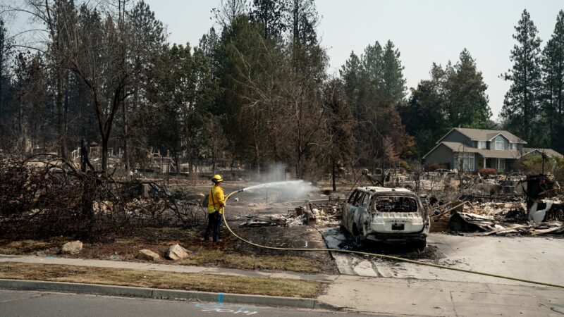 2026 Study Finds 78% of U.S. Wildfires Sparked by Human Actions – What It Means Globally