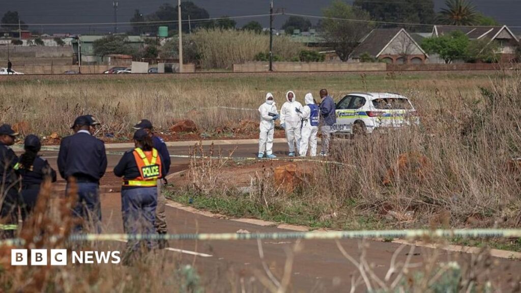South Africa police arrest three in Jabulile Ntimba murder as ninth body found east of Johannesburg, 2026