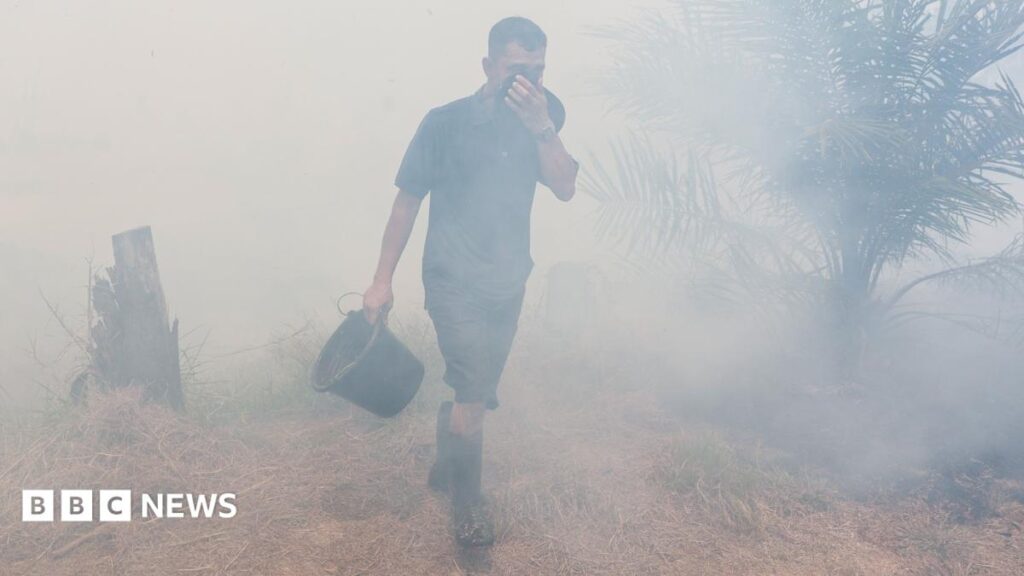 Indonesia wildfire smog sickens 175,000 in 2026 – health fallout, economic ripple and African market impact