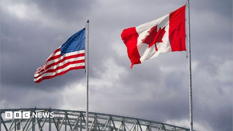 Canada trade war with US 2026: lumber tariffs, steel duties and what it means for African exporters