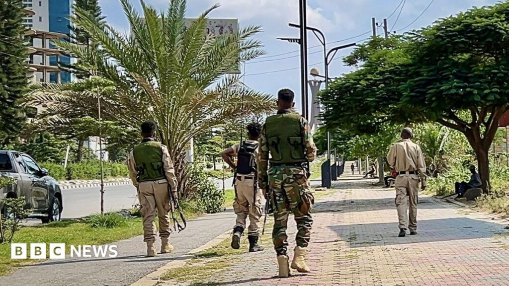 Ethiopia and Tigray blame each other for new offensive, seize airports after drone strikes