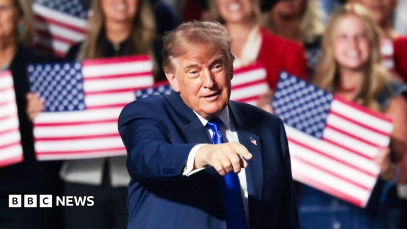 Trump vows $5,000 cash payout to every adult American if GOP wins 2026 midterms