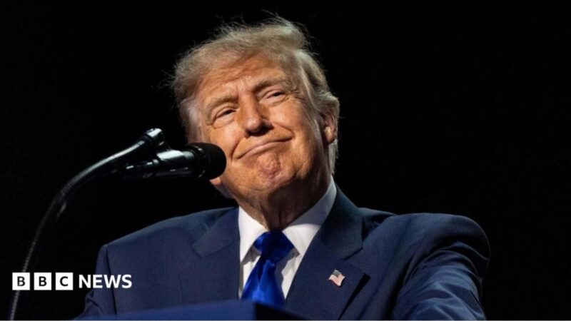 Trump’s $5,000 Adult Cash Grant: Feasibility, Legal Hurdles and Ripple Effects on US Diaspora in 2026