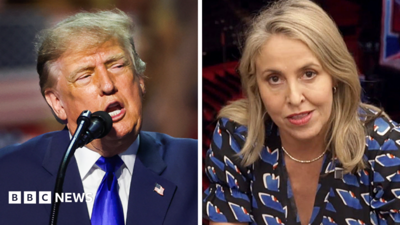 Trump promises $5,000 to every American if GOP wins 2026 midterms – legal showdown and political fallout explained