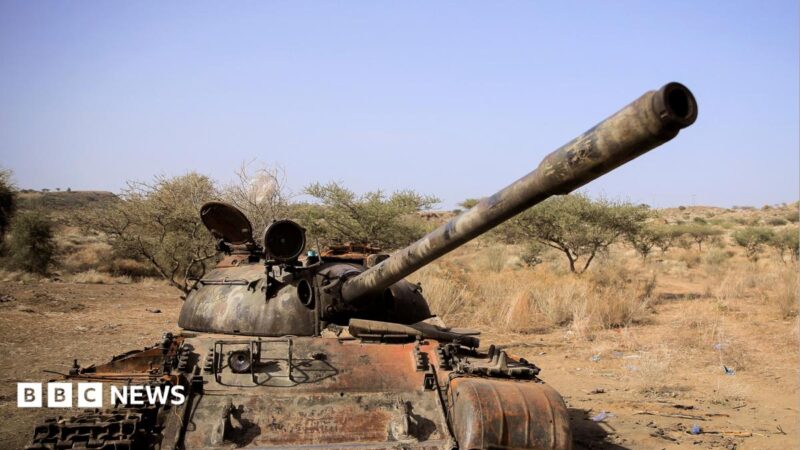 Seven Ethiopian rebel groups form new alliance, raising stakes for peace talks in 2026