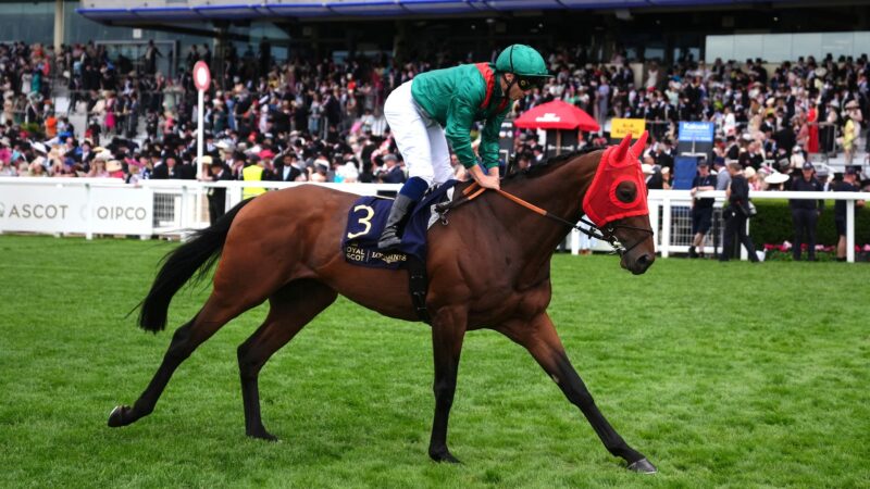 Arc Trials Day 2026: Daryz, Gstaad, Opera Ballo & Benvenuto Cellini line up at Longchamp