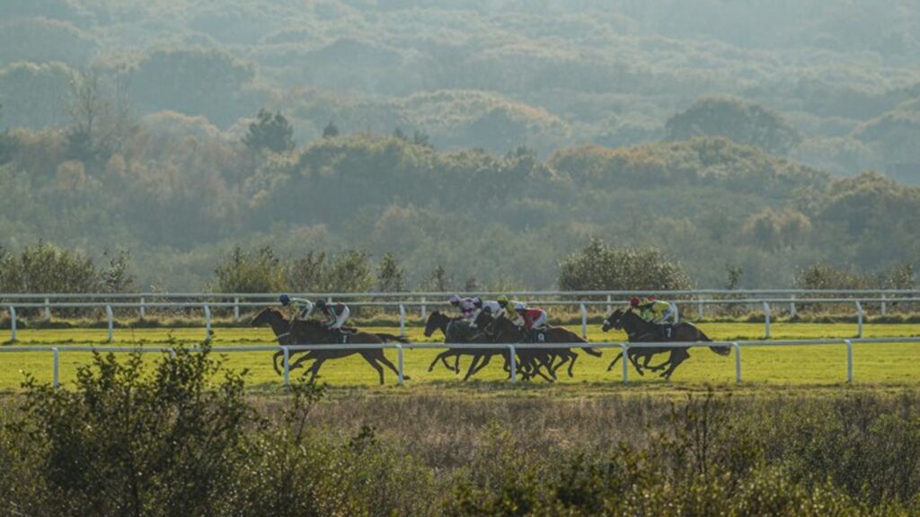 Romanza seeks first win at Ffos Las on Sept 27 2026 – stakes for owners, bettors and African diaspora