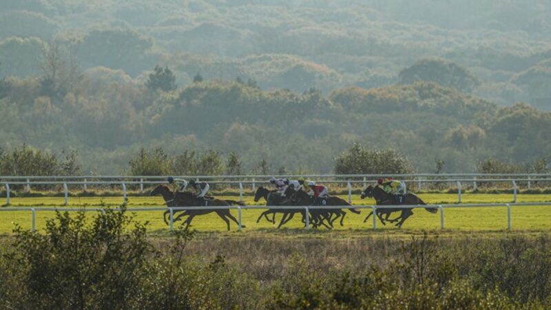 Romanza seeks first win at Ffos Las on Sept 27 2026 – stakes for owners, bettors and African diaspora