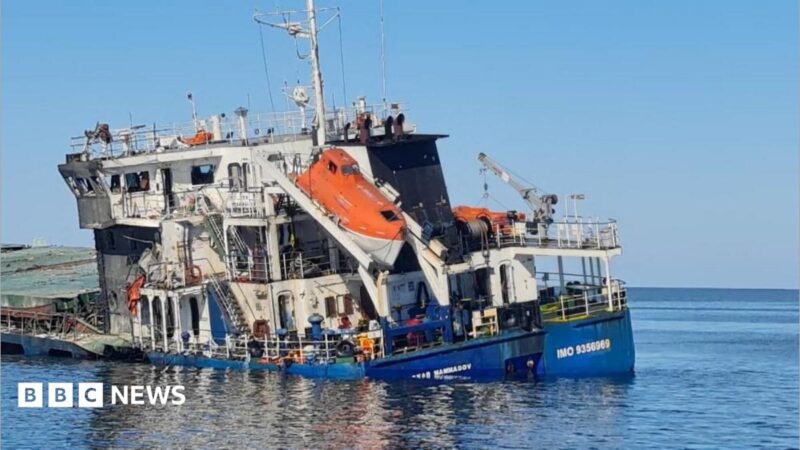 Zelensky condemns Russian strike on Turkish corn ship in Black Sea, captain killed