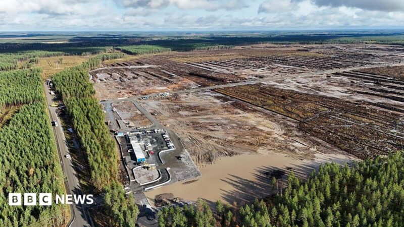 Finland Halts Google’s Two New Data Centres Over Forest Clearance, 2026