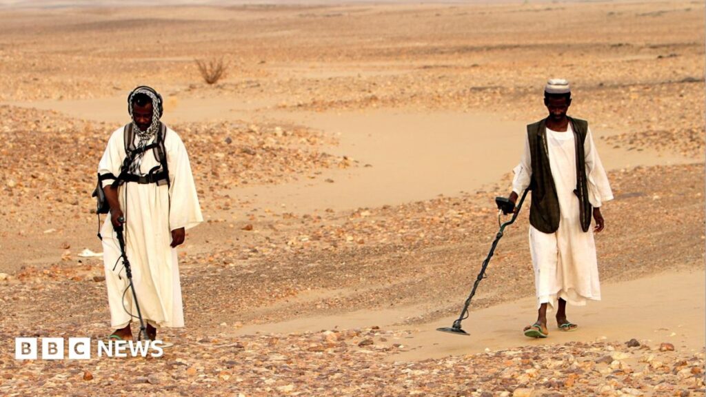 Gold prospectors killed on Egypt‑Sudan border: rights group reports dozens dead in 2026 strike