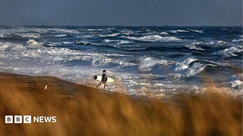 Missing Medical Plane with 6 on Board Off Massachusetts: Flight Lost Contact, Search Intensifies