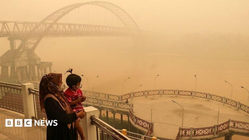 Toxic Smog Over Southeast Asia 2026: Who’s to Blame for Indonesia’s Land‑Burning Crisis?