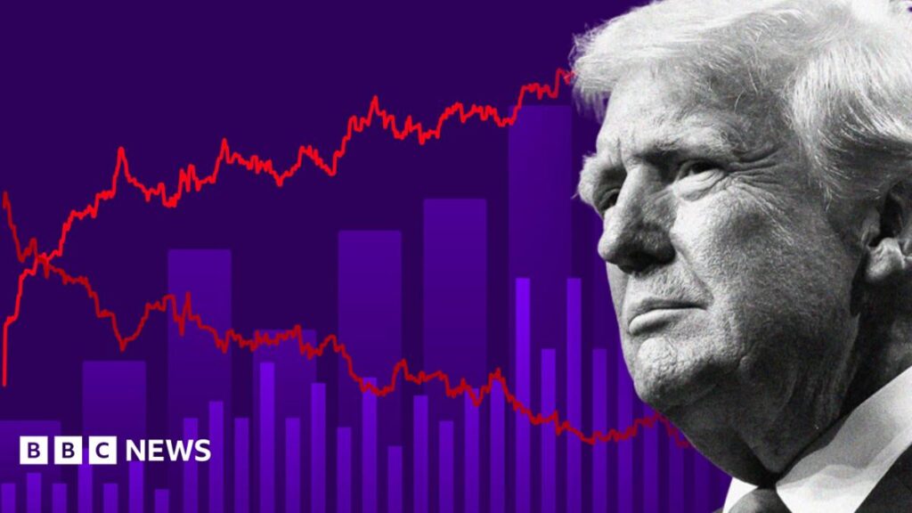 US Midterm Elections 2026: Key Races, Trump’s Final Two Years & Impact on Africa