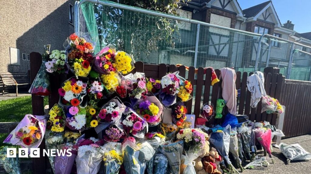 Three released without charge after fatal Dublin arson attack; one remains in custody