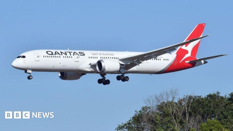Qantas Rome‑Sydney Flight Grounded in 2026 After Bedbug Outbreak Triggers Passenger Bites