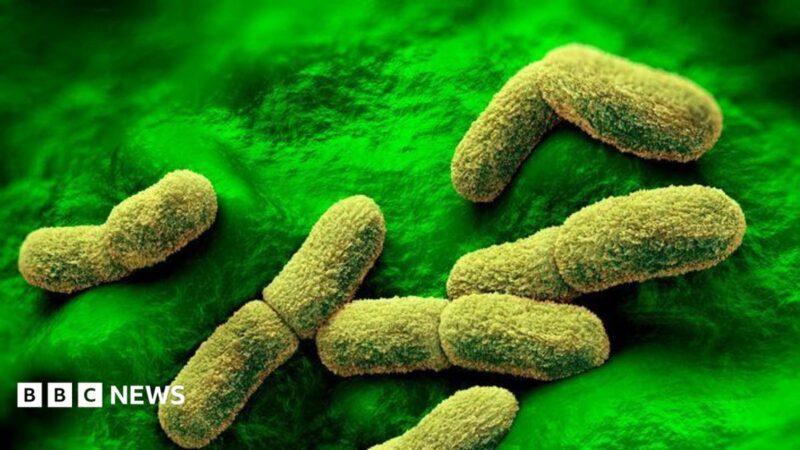 US watches Russian plague lab death closely as Africa braces for potential spread, 2026