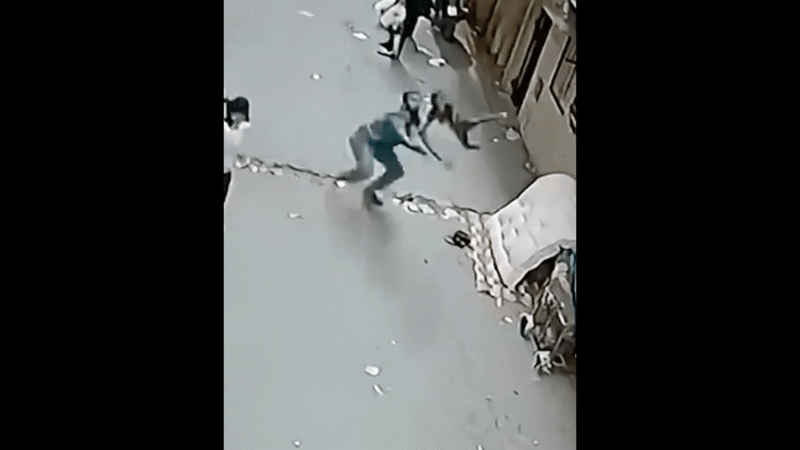 Egypt hero catches 4‑year‑old after balcony fall in Cairo, sparking safety debate