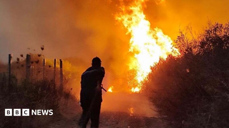 Algeria introduces death penalty for arsonists after 2026 wildfires kill over 200 people
